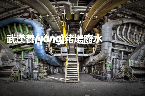 武漢養(yǎng)豬場廢水處理的以后：揭秘綠色養(yǎng)殖的奧秘？